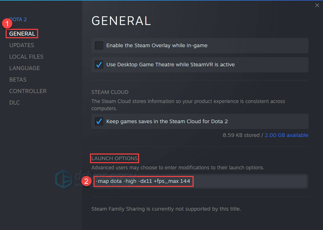 modify dota 2 steam launch options